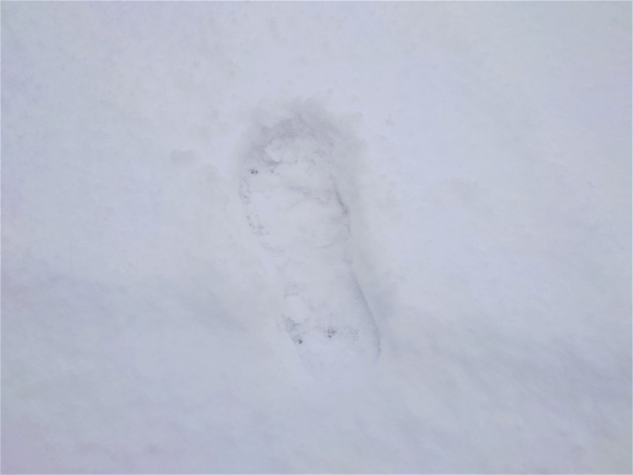 北海道の冬道・雪道の歩き方と冬靴・雪靴の解説【北海道・札幌移住】